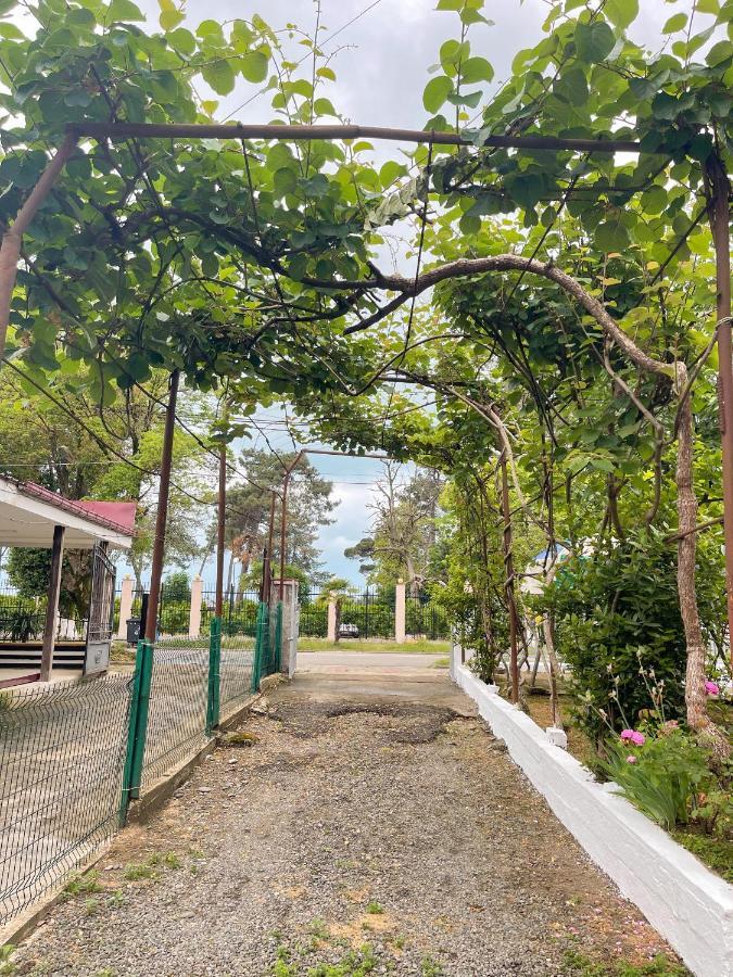 Guesthouse On Agmashenebeli 328 كوبوليتي المظهر الخارجي الصورة